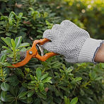 close-up-cutting-plant-leaves_edited.jpg