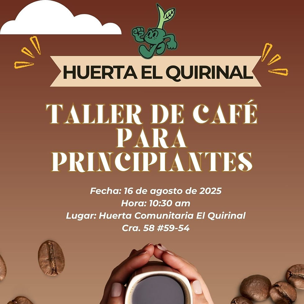 Taller de Café para Principiantes
