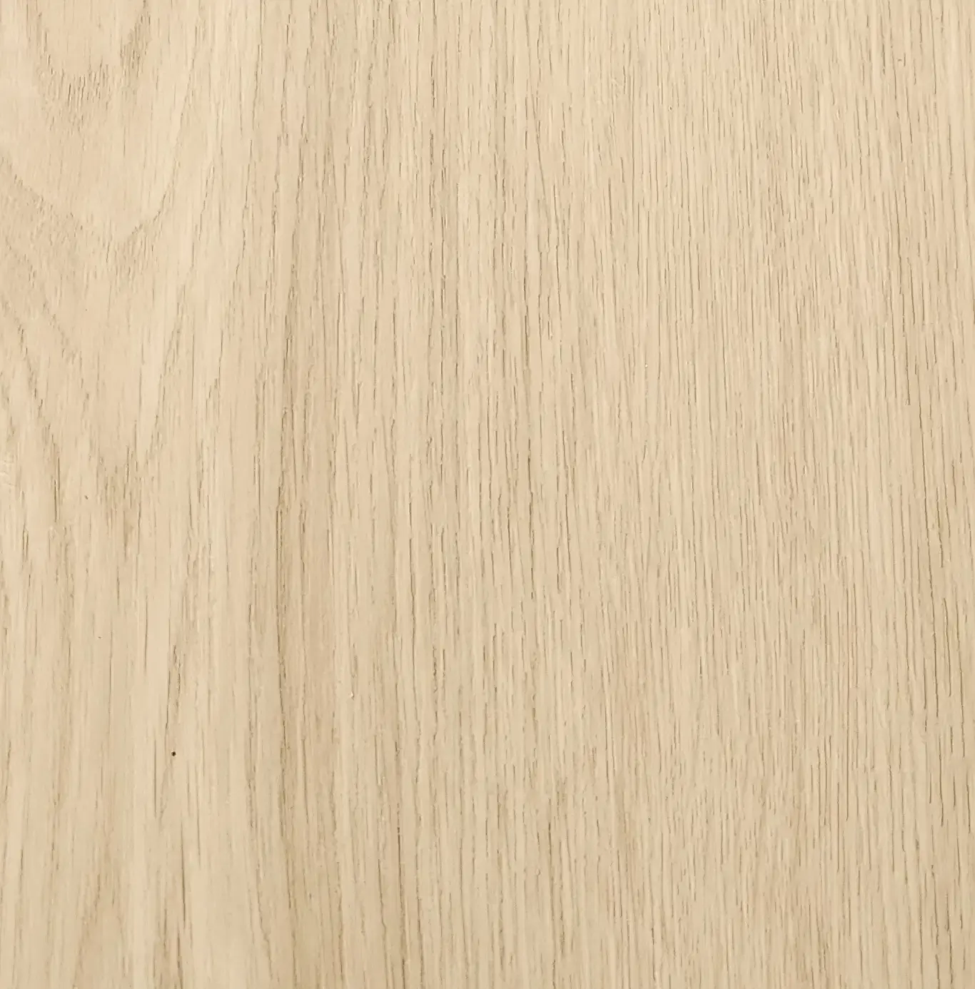 Blonde Ash - 8mm Hybrid Flooring | $37.76m²