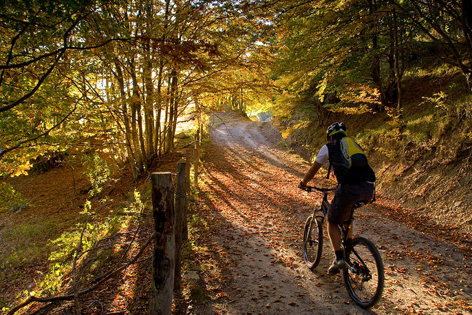 VTT Ardeche.jpeg