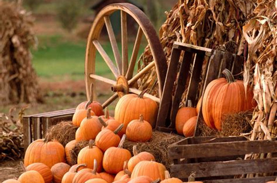 fall.jpg