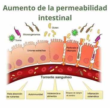 inflamación intestinal gluten perro gato