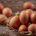 Huevos frescos