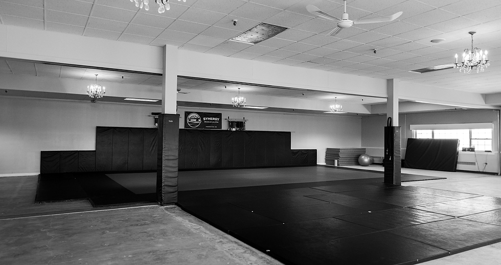 A photo of our large mat space