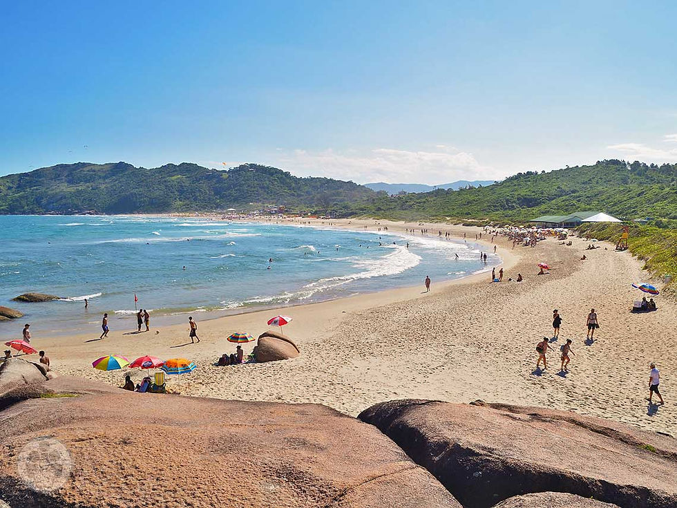 praia mole floripa