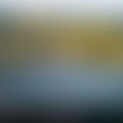 Imbituba: da caça de baleias ao mundial de surf