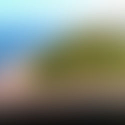 Praia da Daniela: conheça as características e atrativos