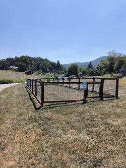 IMG_20240820_122441756