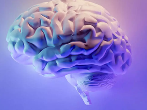 Nutrição Pré e Pós-Treino: O Que Comer para Maximizar seus Resultados