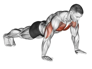 Calistenia: A Arte do Movimento Corporal