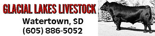 Glacial Lakes Livestock - Avery.jpg