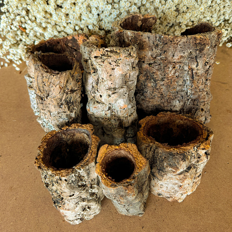 Miniatura: Cork Bark para Hamster Cobra Aquário - Tronco Oco
