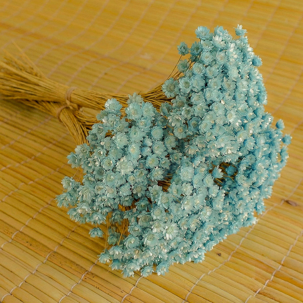 Miniatura: Flores Sempre Vivas - Coloridas - 250 unidades
