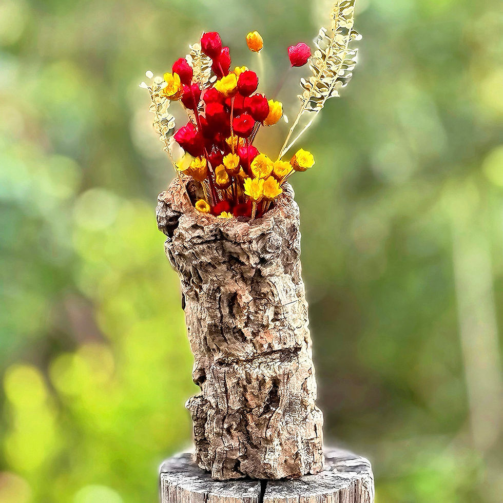 Miniatura: Tronco rústico decorativo -  Sempre Vivas - Coloridas
