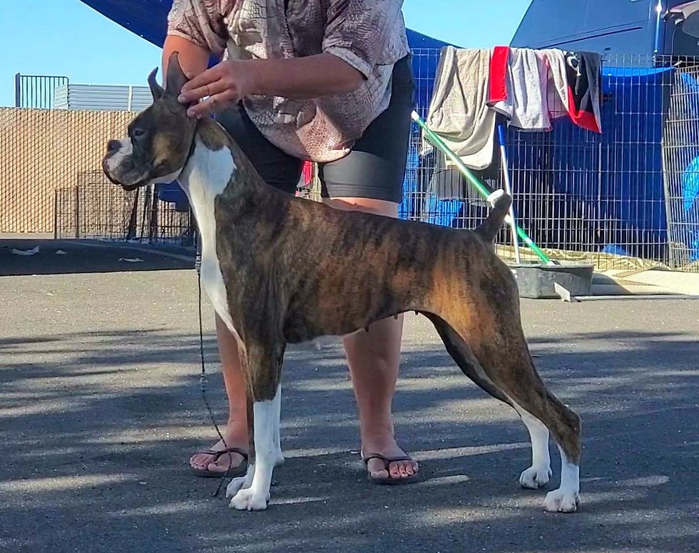 RAVEN 2.5 YEARS