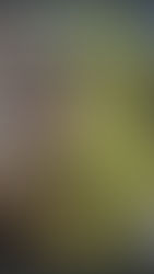 I bought Absolute Superman #3!