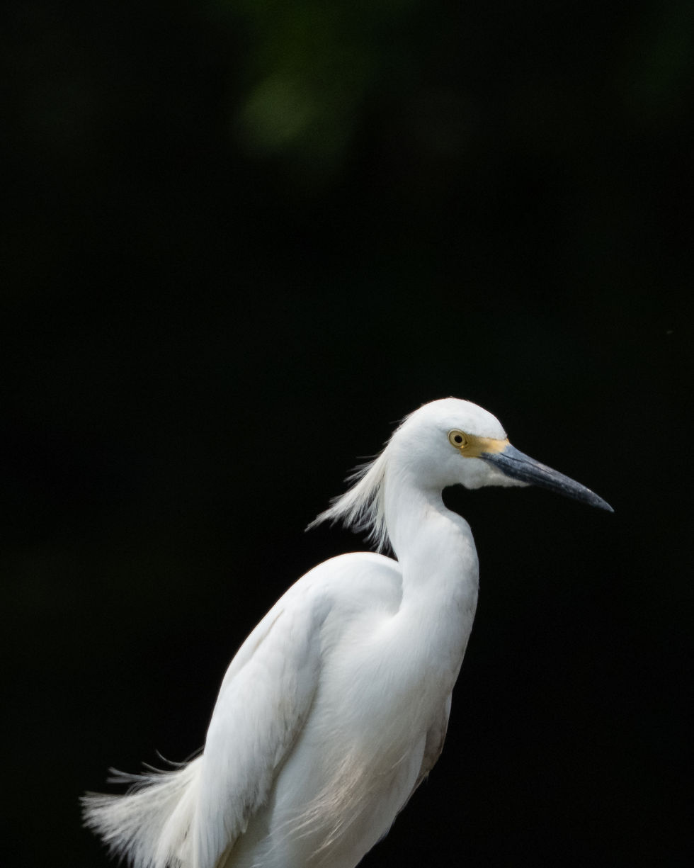 250611_Mill Creek Marsh-1012.jpg