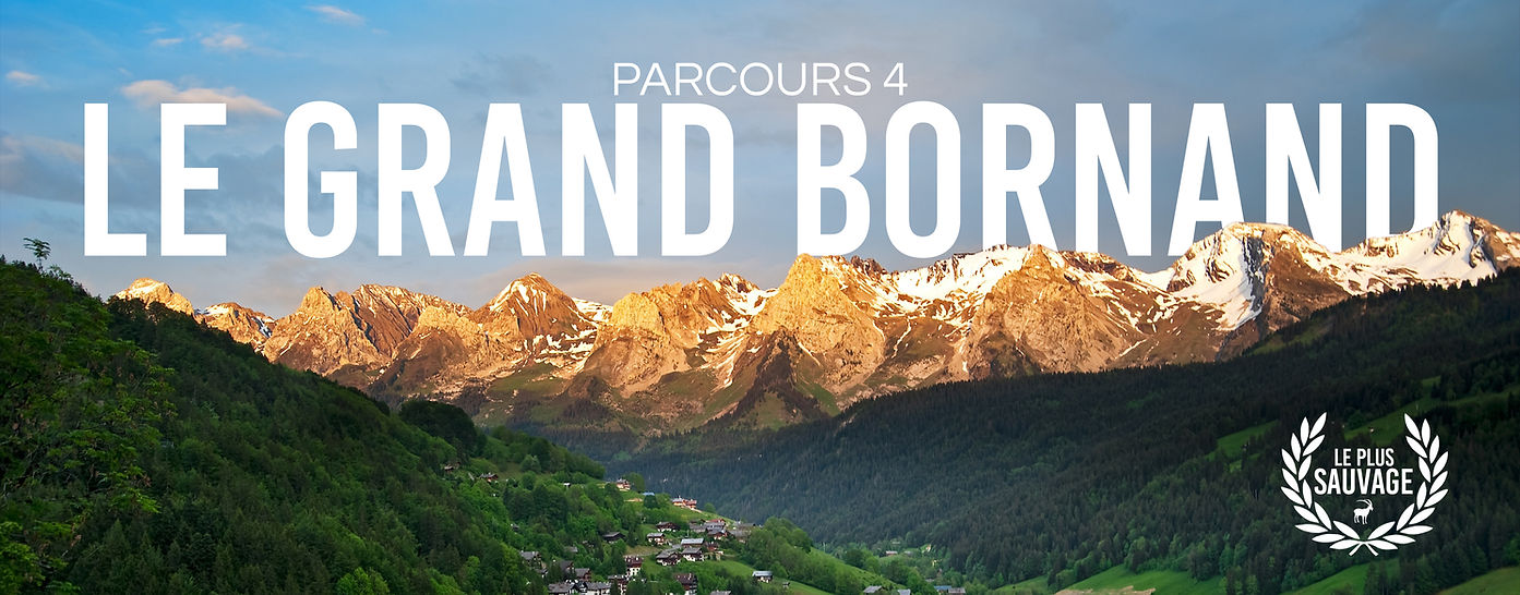 Bannière P4 copie.jpg