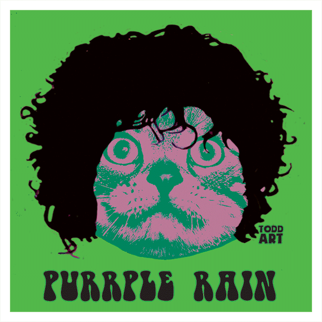 Purrple Rain
