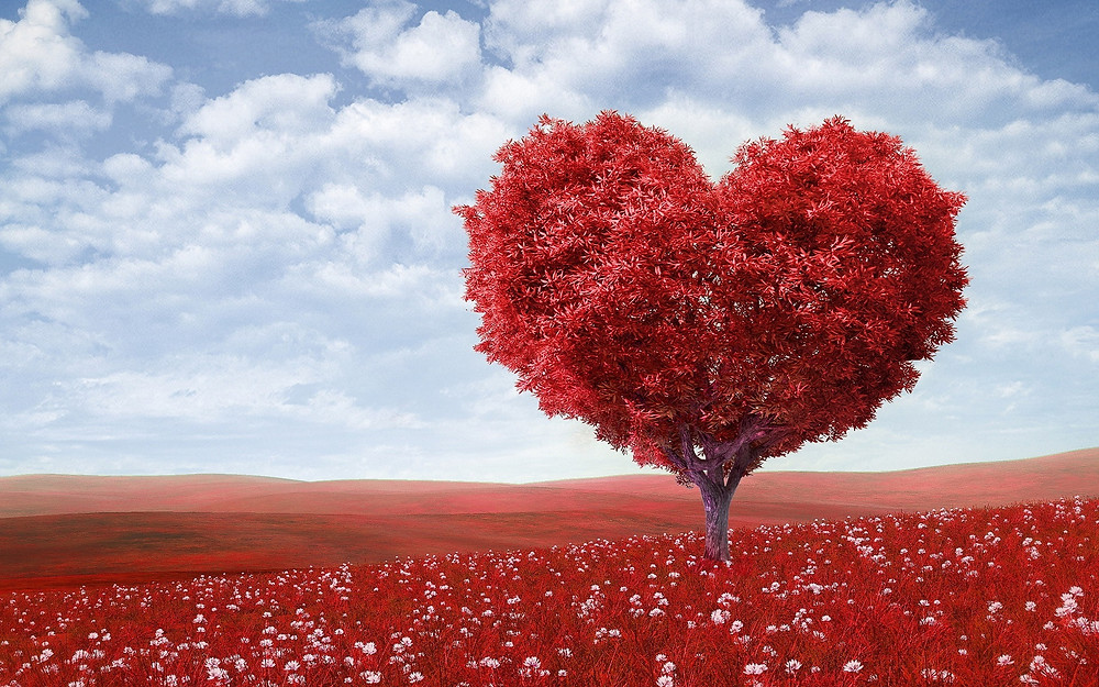 valentine heart