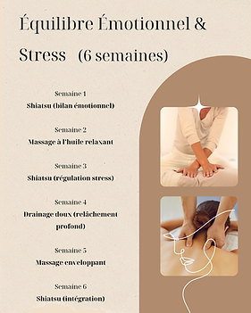 Shiatsu, massage et drainage 55.png