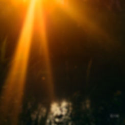 Sunlight