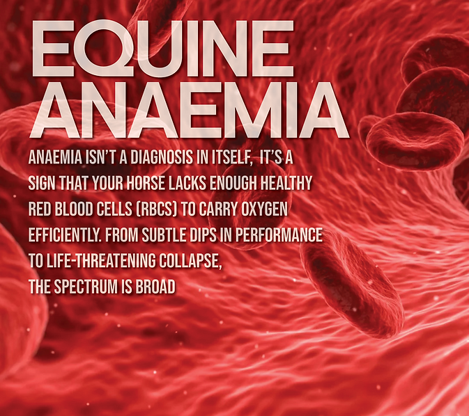 Equine Anaemia.png