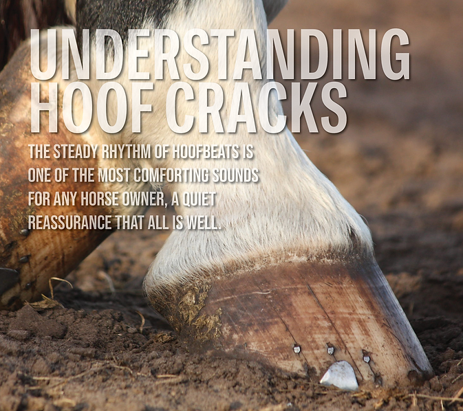 Understanding Hoof cracks.png
