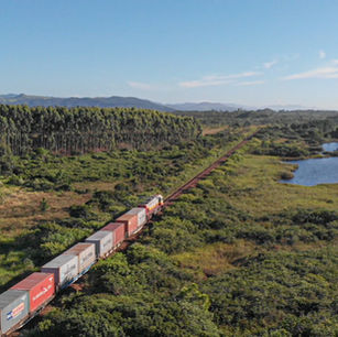 Ferrovia Tereza Cristina celebra o Dia Mundial do Meio Ambiente com balanço de suas práticas de sustentabilidade