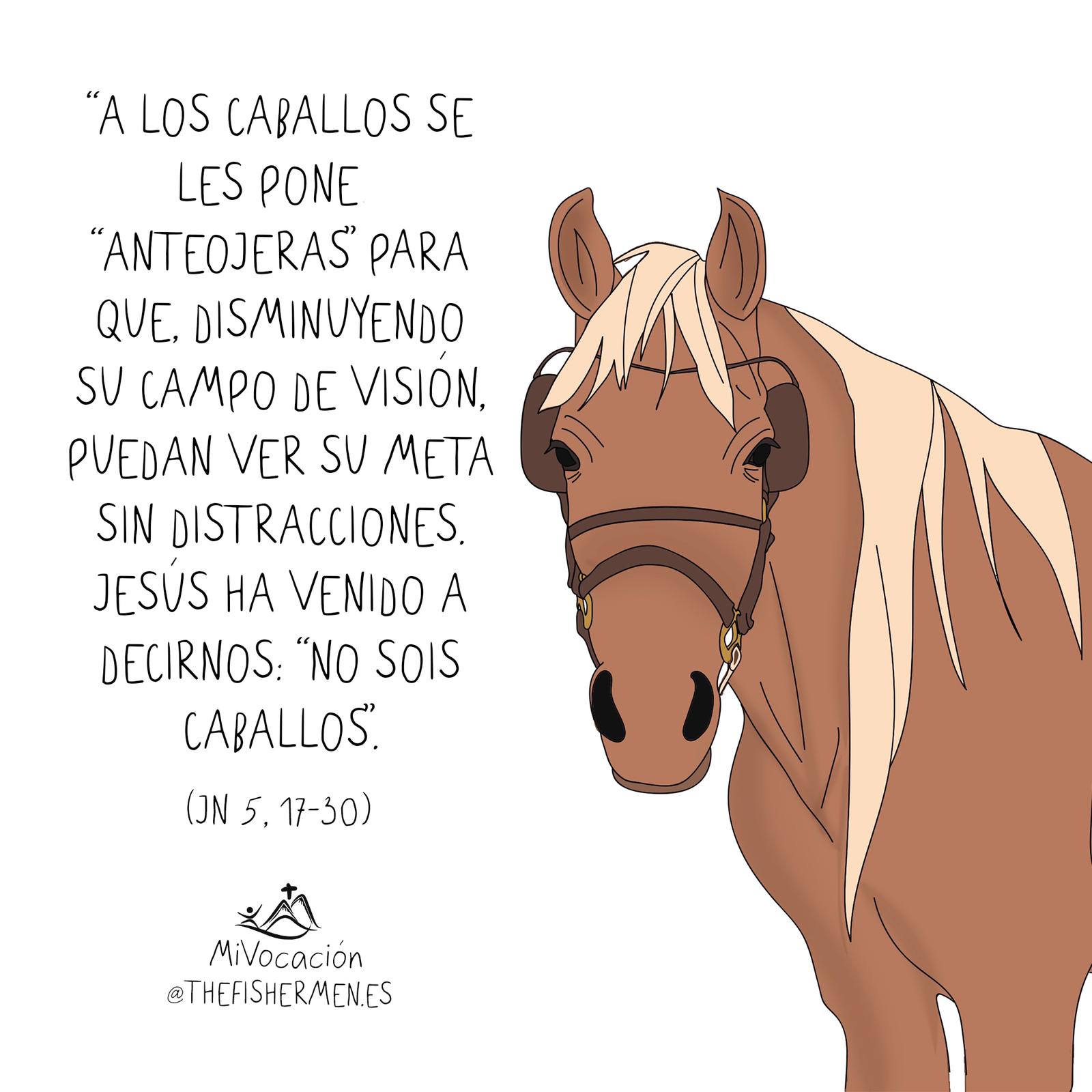 DIA 29