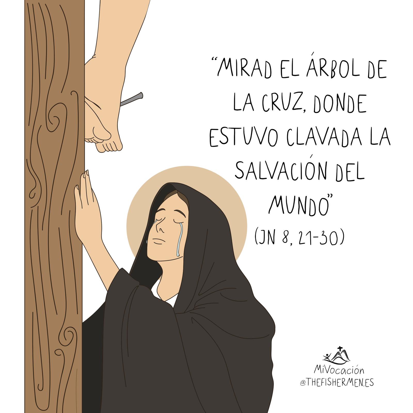 DIA 35