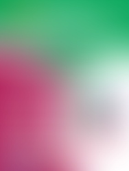 VIII Jornadas sobre la Enfermedad de Alzheimer