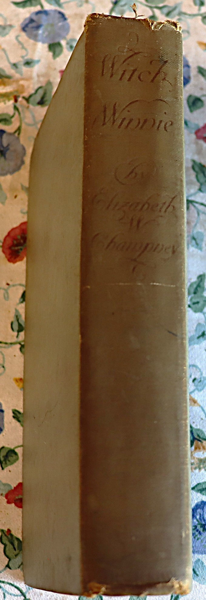 Thumbnail: 2 Witch Winnie books The Kings Daughter  and In Holland by Elizabeth W Champney