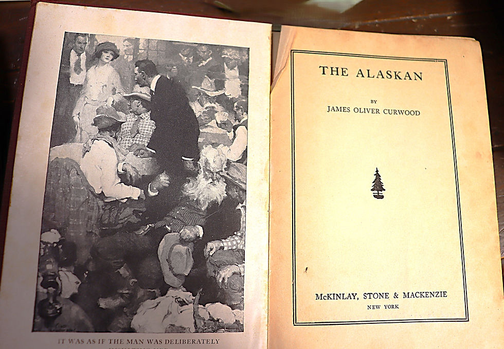 Thumbnail: Vintage group of 5 Novels by James Oliver Curwood McKinlay Stone 1919 1920 S