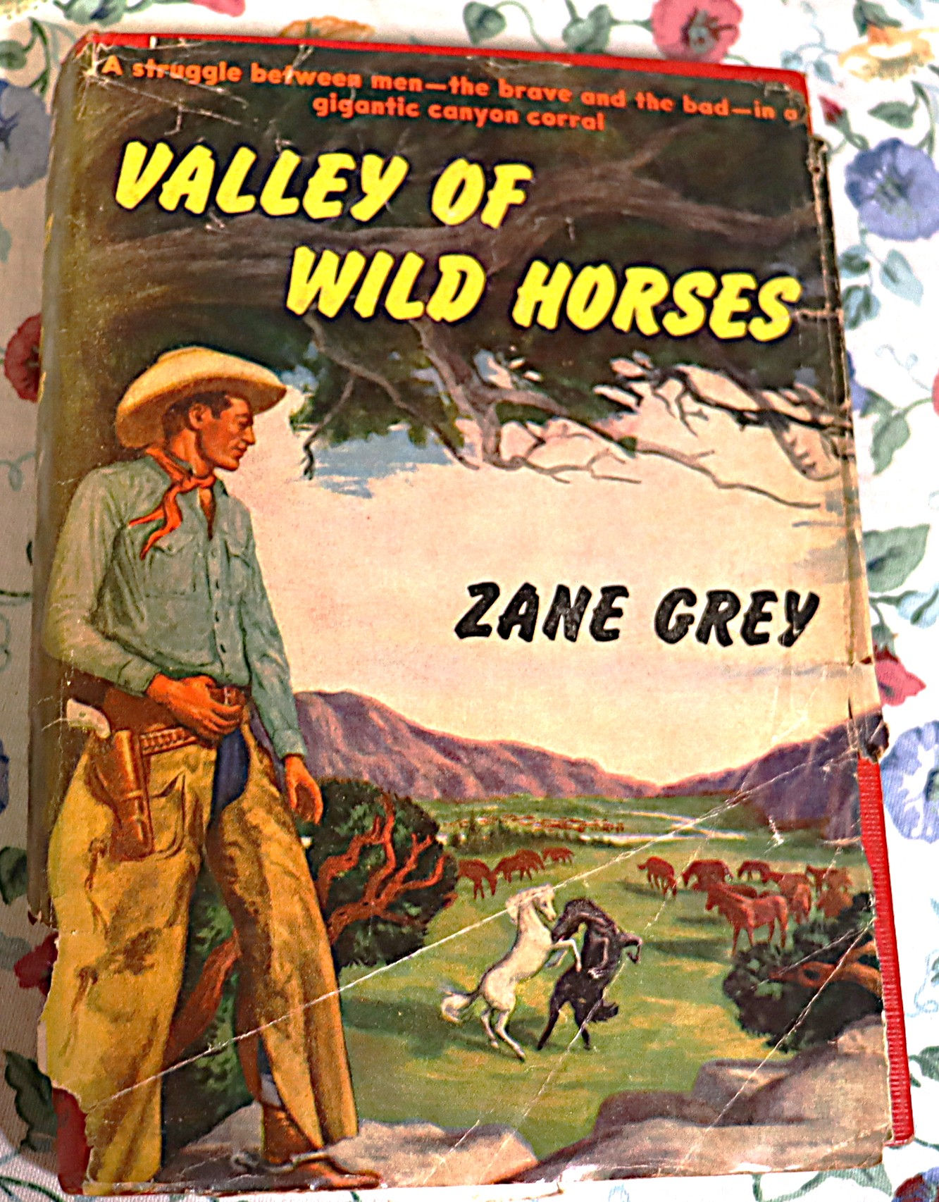 Valley of Wild Horses by Zane Gray Harper Brother 1927 T