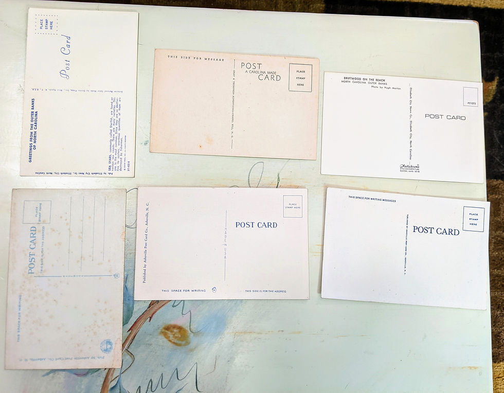 Thumbnail: 11 Vintage postcards from Fl and SC #6