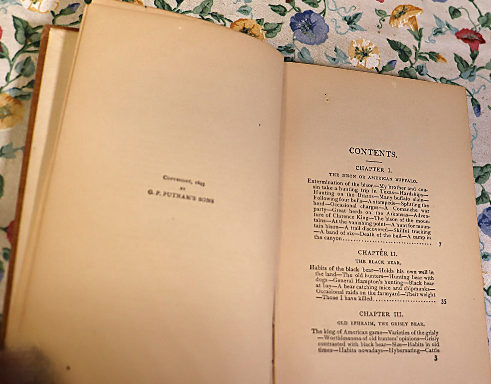 Thumbnail: Hunting The Grisly by Theodore Roosevelt 1893  G P Putnam and Sons FE