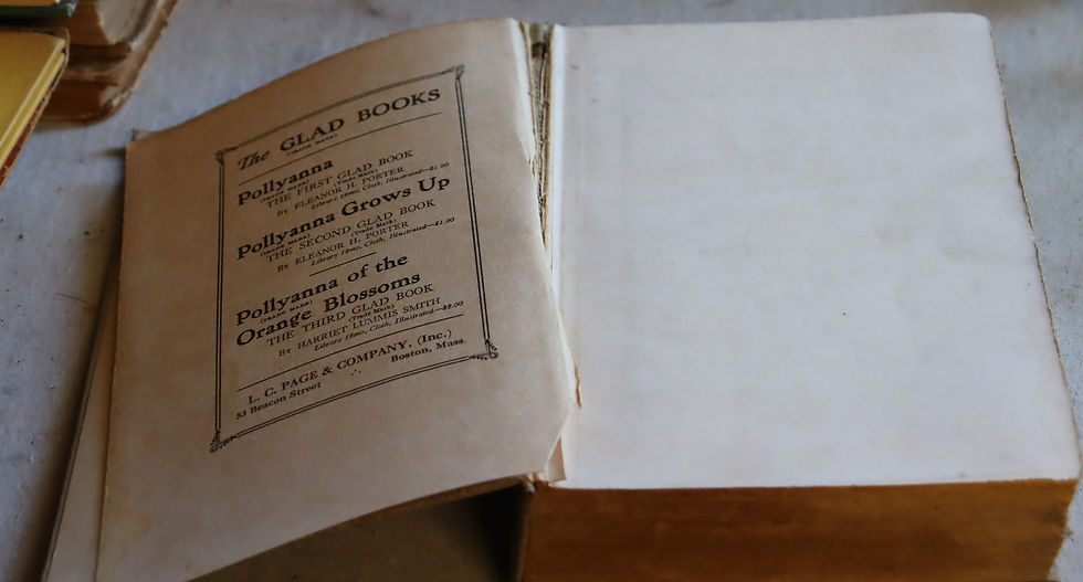 Thumbnail: Vintage Pollyanna of the Orange Blossom by H L Smith First Impression 1924