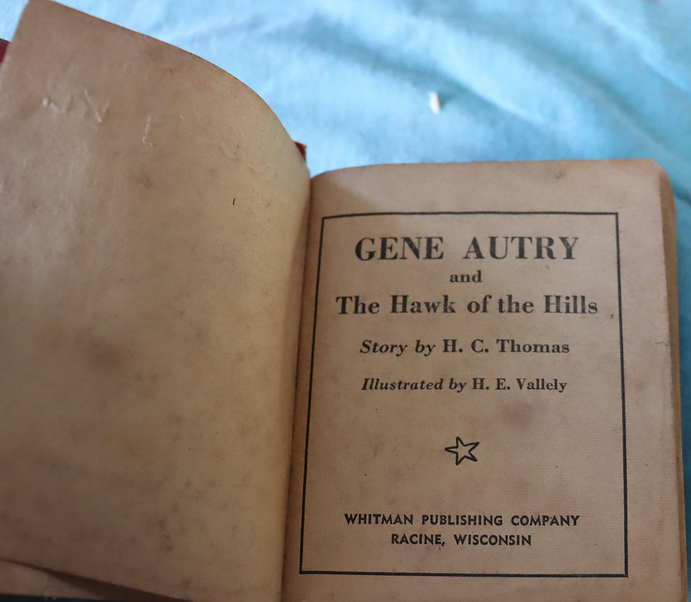 Thumbnail: Vintage Gene Autry The Hawk of the Hills 1942 Whitman publishing
