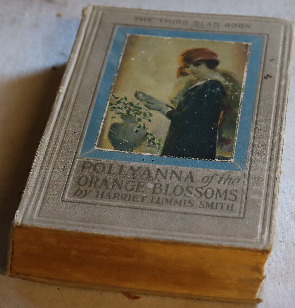 Thumbnail: Vintage Pollyanna of the Orange Blossom by H L Smith First Impression 1924