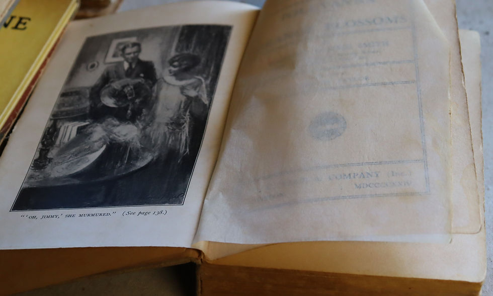 Thumbnail: Vintage Pollyanna of the Orange Blossom by H L Smith First Impression 1924