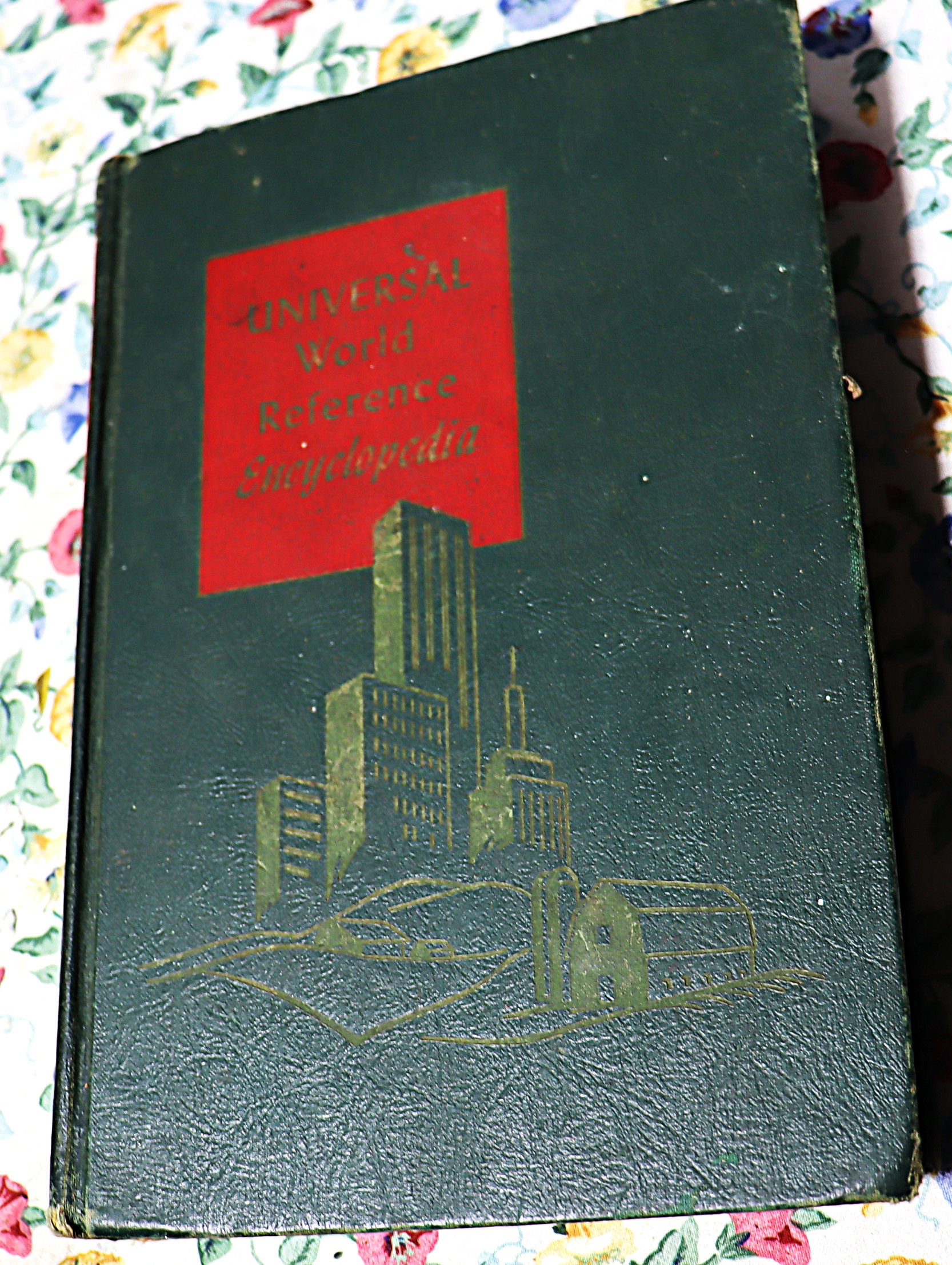 Universal World Reference Encyclopedia Consolidated Book Publishers  #12 page 42