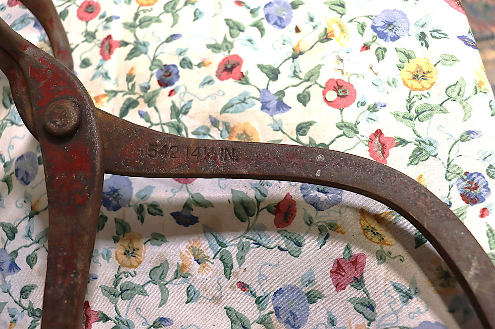 Thumbnail: Gilford -Wood Ice Tongs #542 14 1/2 inch.