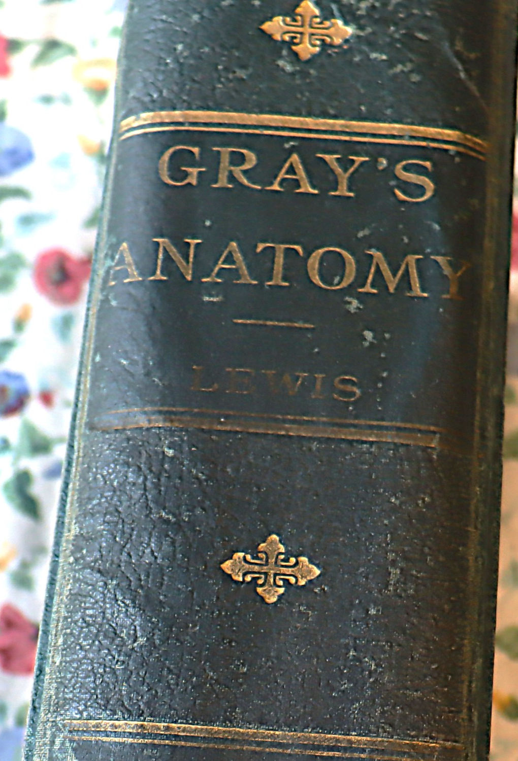 Gray's Anatomy Henry Gray 23 edition Lea Febiger 1936