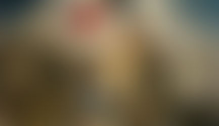 Ordinary Americans' Options