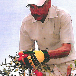KETS Harvesting