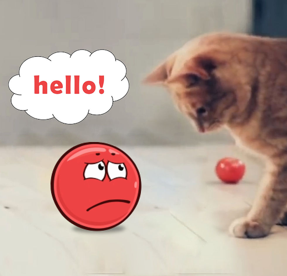 Red Ball In Real Life