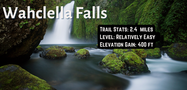 Wahclella Falls Hike