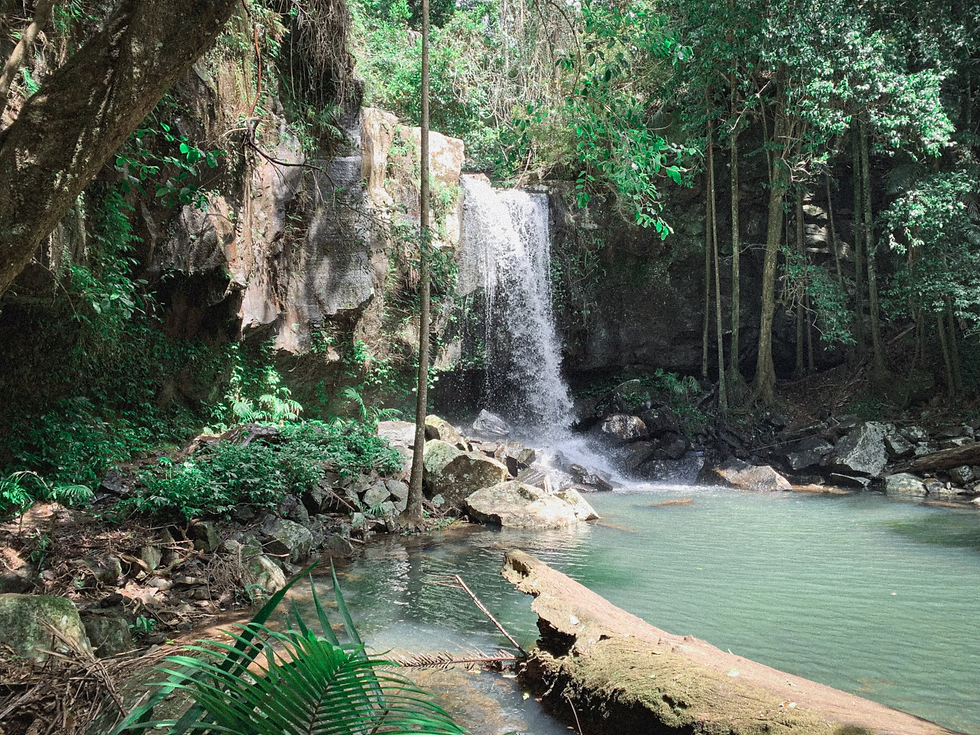a-small-waterfall-in-the-middle-of-a-forest