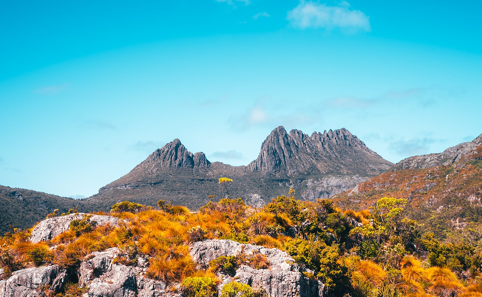 rocky-mountain